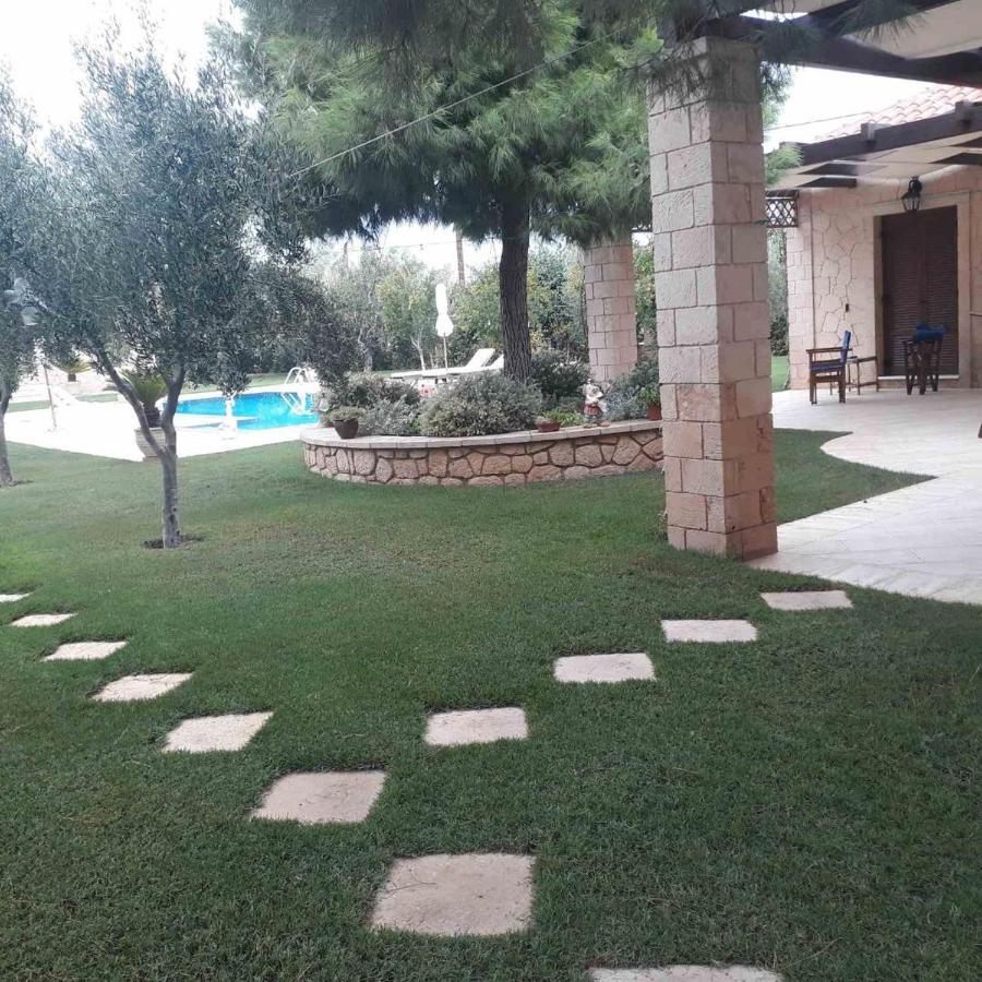 Mediterranean Garden Villa Vathí Esterno foto