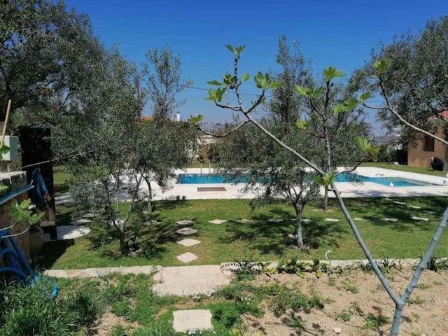 Mediterranean Garden Villa Vathí Esterno foto